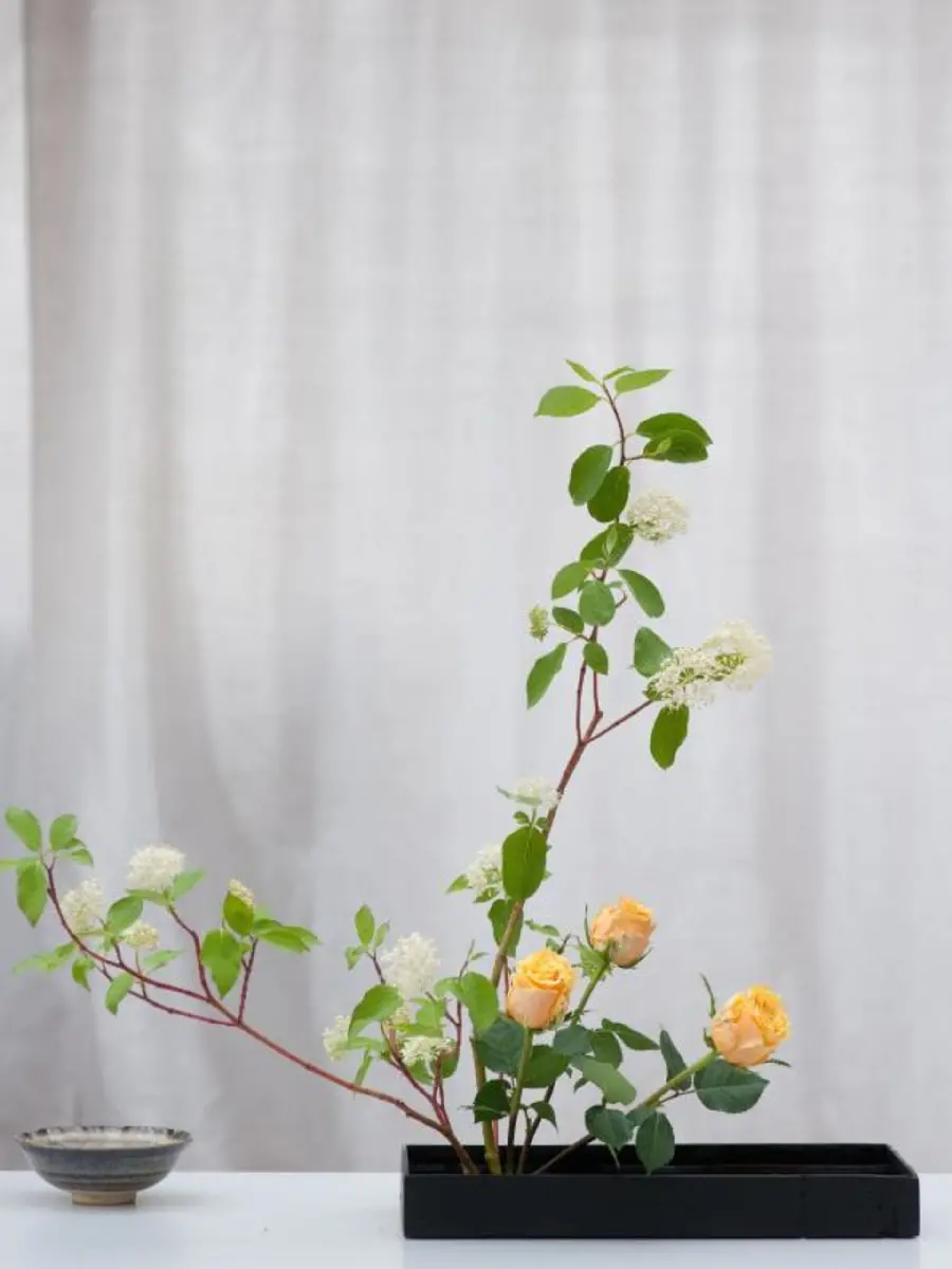 قاب مبایل ایکه بانا برای سامسونگ با چاپ با کیفیت و قیمت ارزان