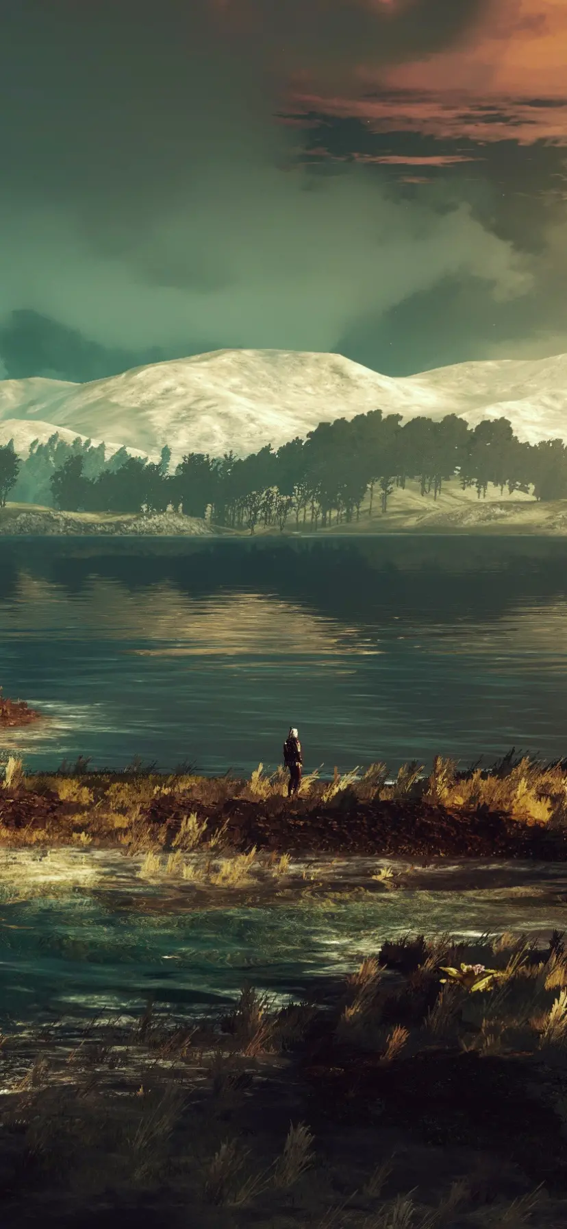 سفارش شاسی عکس بازی The Witcher 3 Wild Hunt با کیفیت بالا