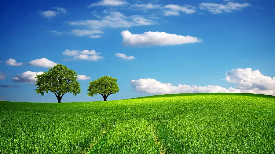 عکس پس زمینه چمن و آسمان با کیفیت فول اچ دی و رزولوشن بالا