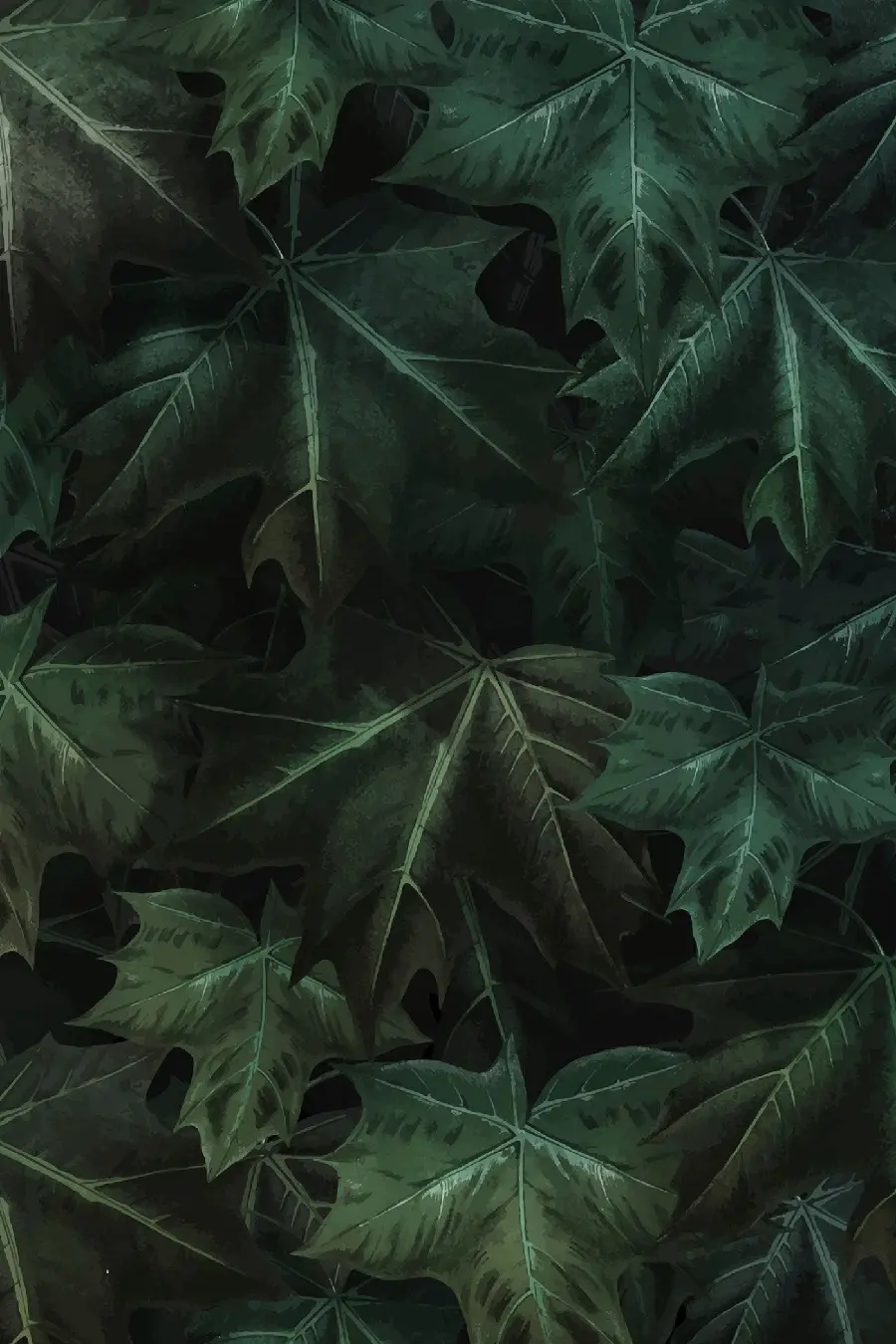 چاپ پوستر قاب موبایل آیفون با عکس برگ افرا برای چاپ تابلو و پوستر دیواری