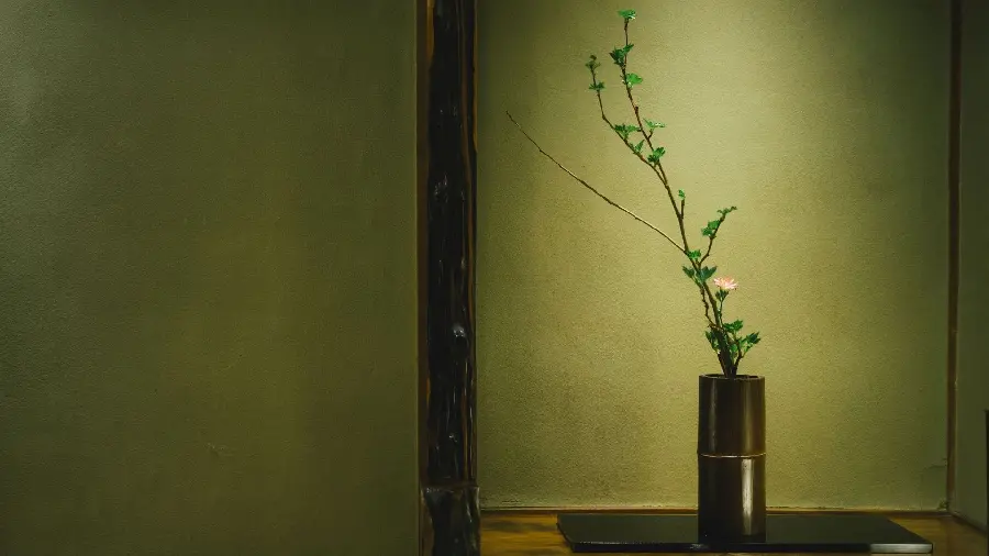 چاپ پوستر چاپ تابلو شاسی ایکه بانا با کیفیت بالا برای اتاق با قیمت ارزان