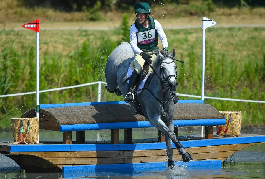 1123209-2560x1728-desktop-hd-eventing-background-photo