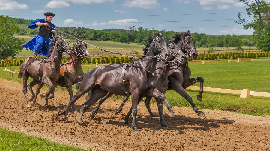 1123221-3840x2160-desktop-4k-eventing-background-image