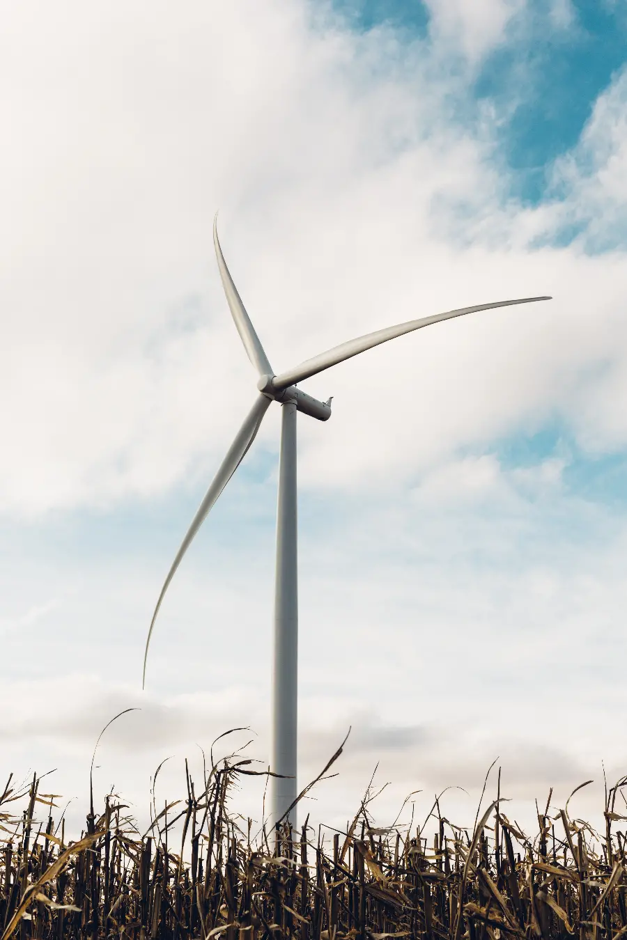 چاپ پوستر خرید تابلو انرژی بادی در مزارع آیوا با کیفیت عالی