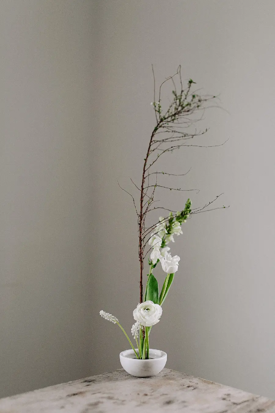 قاب مبایل ایکه بانا برای موبایل با چاپ شخصی و قیمت ارزان