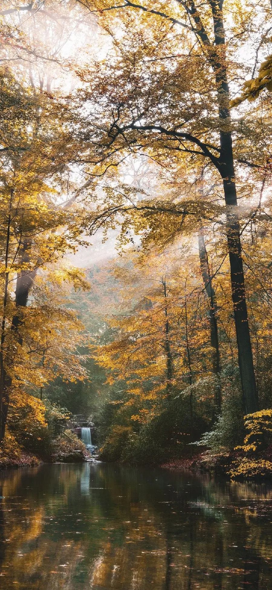 بک‌گراند منظره با کیفیت اچ دی برای گوشی سامسونگ 1080x2340