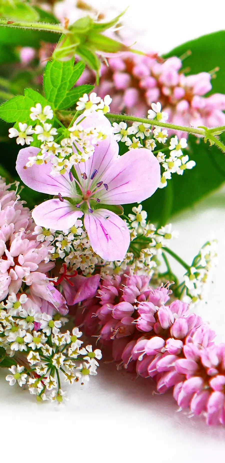 تابلو شاسی طرح گل با کیفیت بالا برای اتاق