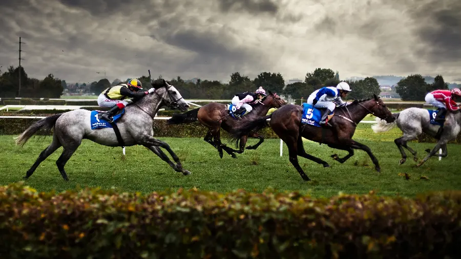 1123236-3840x2160-desktop-4k-eventing-background-photo