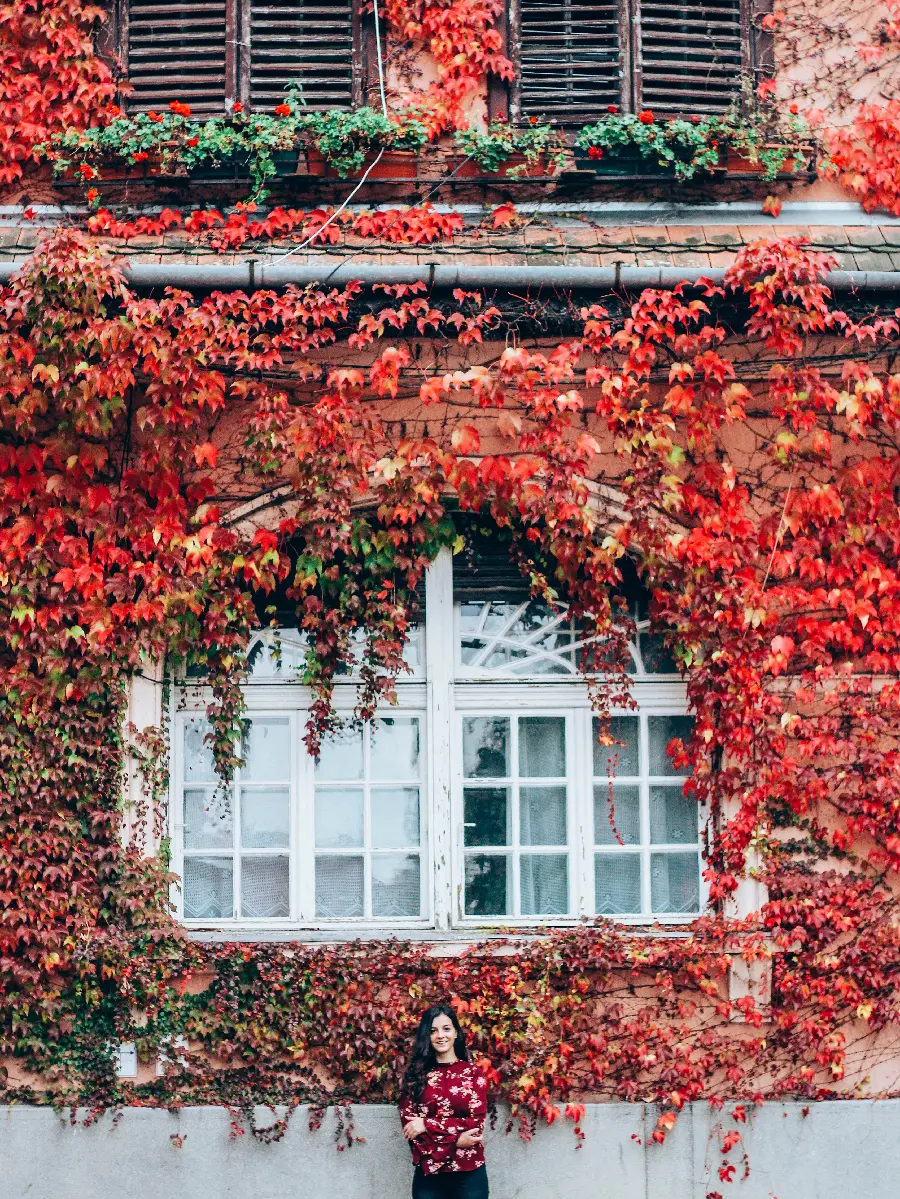 چاپ پوستر خرید تابلو دکوراتیو تابستان به پاییز فرو ریخت با ارزانترین قیمت برای اتاق خواب