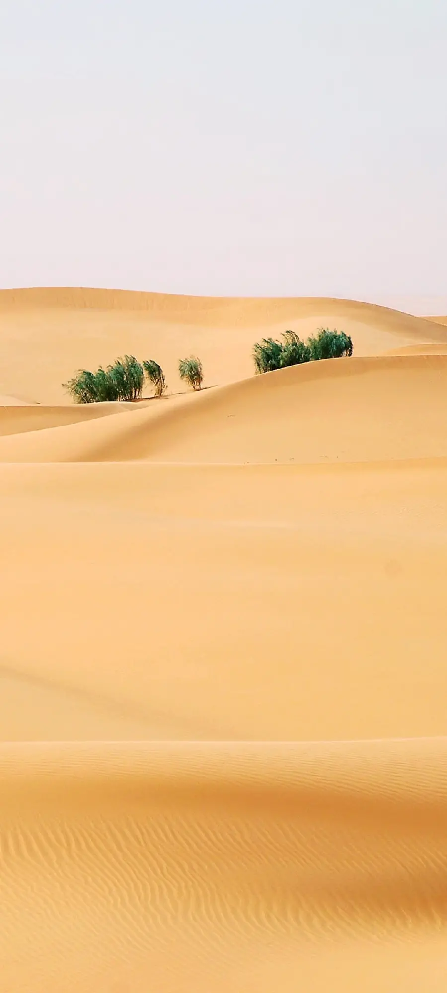 پوستر دیواری طرح بیابان با کیفیت بالا برای اتاق