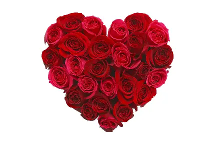 خرید تابلو دیواری گل رز قرمز با طرح قلب برای اتاق خواب