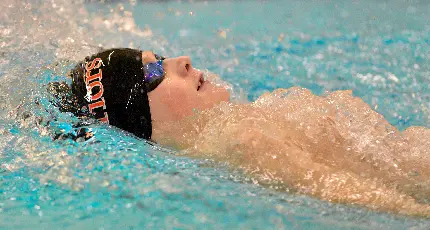 چاپ پوستر تصویر 4K کرال پشت با کیفیت Ultra HD