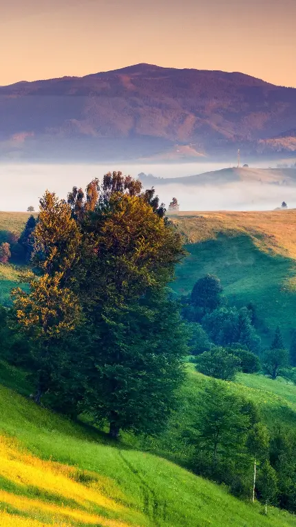 قاب مبایل آیفون منظره طبیعت 4K برای سفارش تابلو و پوستر دیواری با بهترین قیمت