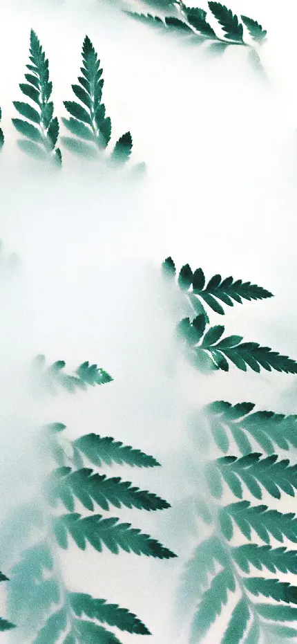 چاپ پوستر عکس برگ هنری با کیفیت بالا برای والپیپر گوشی آیفون