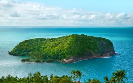 چاپ پوستر چاپ تخته شاسی جزیره با بهترین قیمت و کیفیت بالا برای دکور