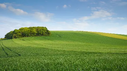 چاپ پوستر تصویر زمینه 4K چمن و آسمان با کیفیت اولترا اچ دی و دانلود رایگان