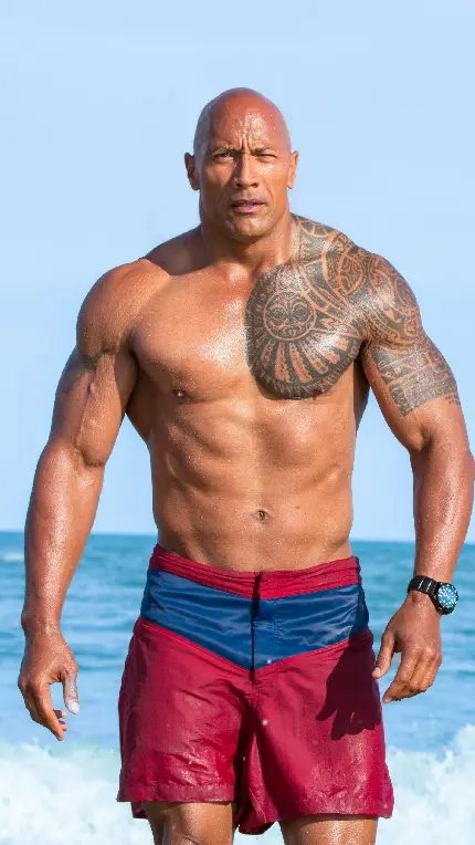 تابلو فیلم Baywatch با بهترین قیمت برای دکوراسیون منزل
