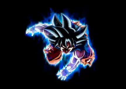 خرید تابلو شاسی دراگون بال سوپر گوکو با ارزانترین قیمت