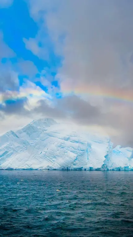 قاب موبایل یخچال طبیعی چاپ تابلو شاسی با کیفیت بالا برای اتاق