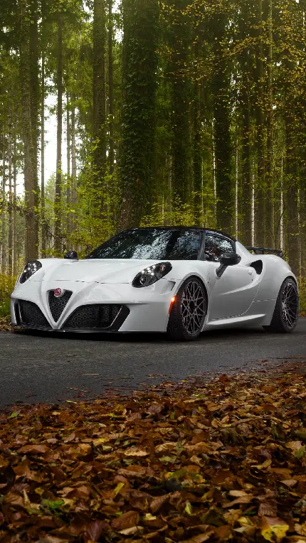 تابلو دیواری Alfa Romeo 4C با چاپ با کیفیت برای اتاق