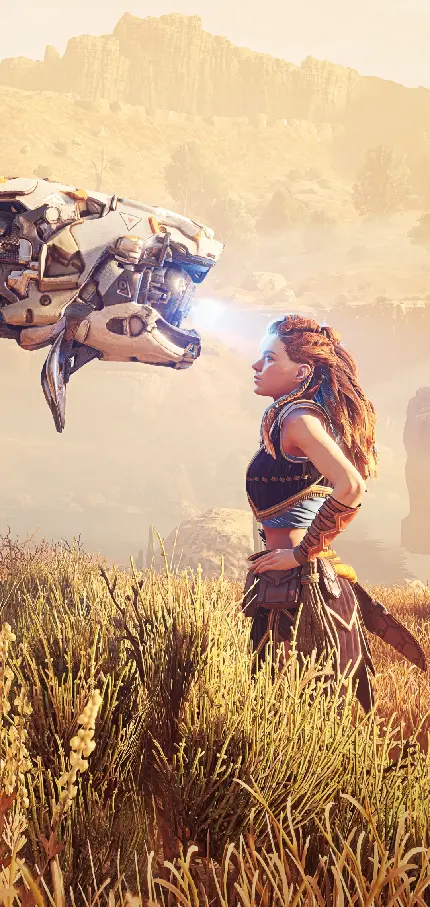 سفارش شاسی عکس Horizon Zero Dawn با چاپ با کیفیت