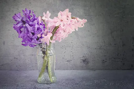 خرید پوستر دیواری سنبل با چاپ با کیفیت و قیمت مناسب