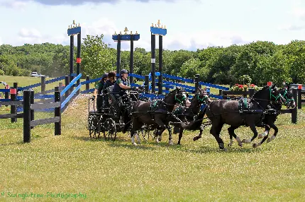1610629-2121x1414-desktop-hd-carriage-driving-wallpaper