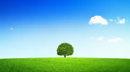 چاپ پوستر تصویر پس زمینه دسکتاپ چمن و آسمان با کیفیت فول اچ دی