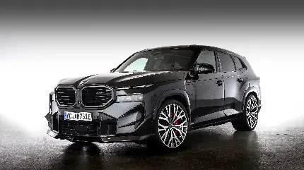 خرید تابلو شاسی BMW XM AC شنیتزر با قیمت ارزان برای نمایشگاه