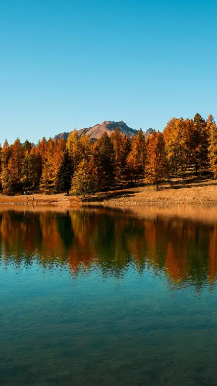 قاب-مبایل-دریاچه-سامسونگ-چاپ-کیفیت-قیمت-ارزان