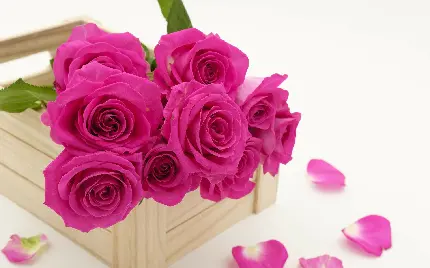 چاپ پوستر تابلو شاسی دسته گل با کیفیت بالا برای پذیرایی