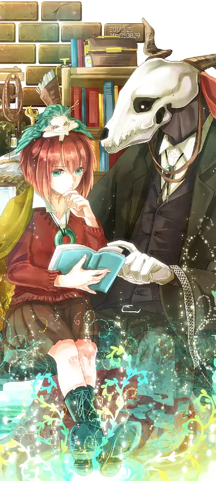 خرید تابلو شاسی انیمه The Ancient Magus Bride با کیفیت بالا
