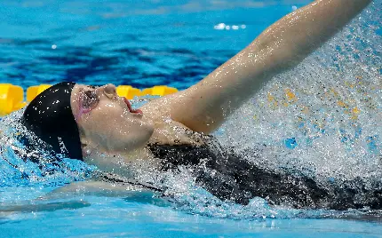 چاپ پوستر تصویر زمینه دسکتاپ کرال پشت با کیفیت بالا