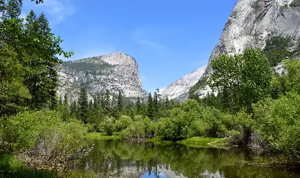 خرید پوستر دیواری منظره دریاچه و جنگل یوسمیت با کوهستان 8K