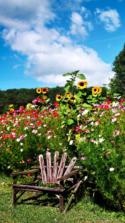 خرید تخته شاسی Man Made Garden با قیمت مناسب