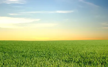 چاپ پوستر عکس پس زمینه دسکتاپ چمن و آسمان با کیفیت بالا و رزولوشن عالی