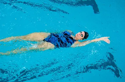 چاپ پوستر والپیپر کرال پشت با کیفیت عالی برای دسکتاپ