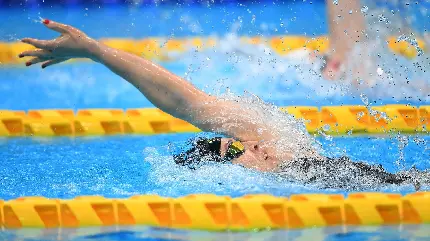 چاپ پوستر والپیپر موبایل کرال پشت با رزولوشن عالی