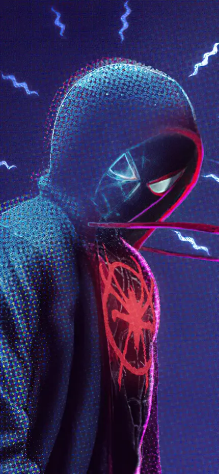چاپ تابلو شاسی فیلم Spider-Man Into The Spider-Verse با بهترین قیمت