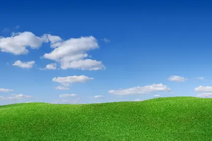 چاپ پوستر بک گراند چمن و آسمان با کیفیت اچ دی و ابعاد مناسب برای دسکتاپ