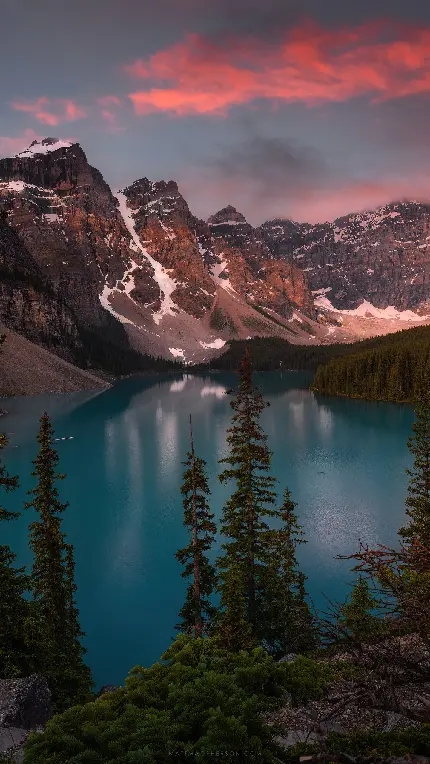 قاب-مبایل-دریاچه-سامسونگ-چاپ-کیفیت-کیفیت-بالا