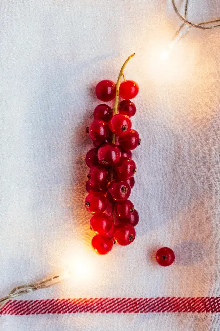 چاپ تابلو توت های قرمز و برگ سبز با کیفیت ماکرو