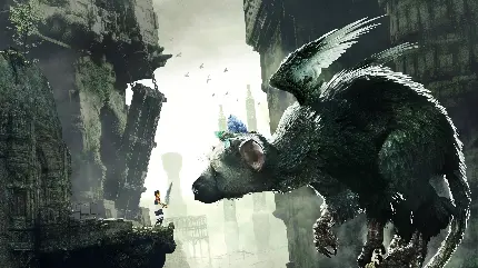 خرید تابلو شاسی The Last Guardian با تخفیف ویژه برای اتاق