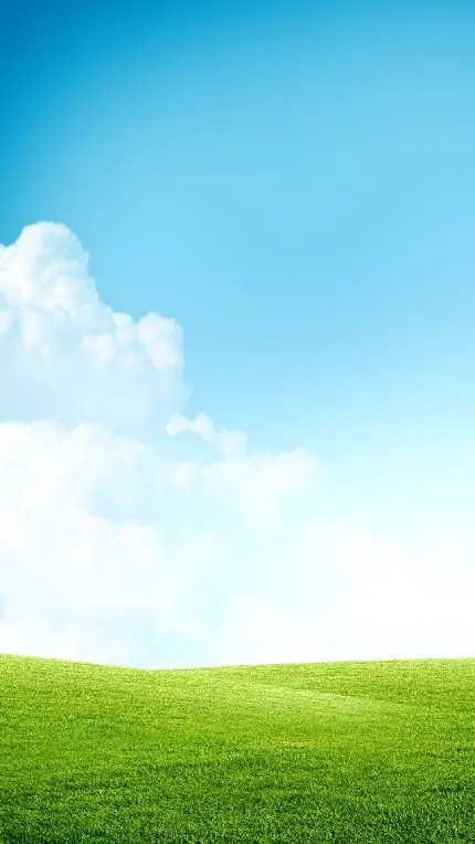 چاپ پوستر والپیپر موبایل چمن و آسمان با کیفیت فول اچ دی و رزولوشن عالی
