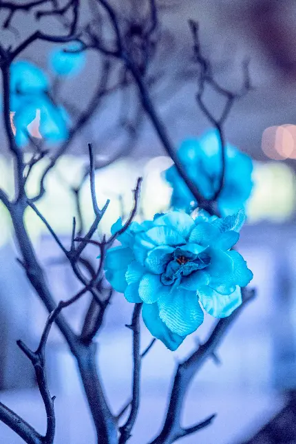 خرید پوستر دیواری شاخه درخت روشن و سفید مینیمال