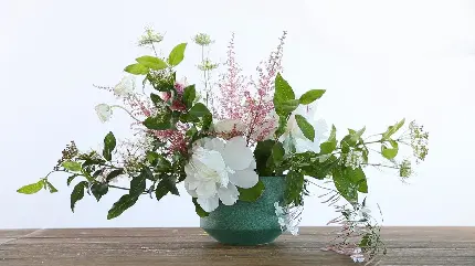 خرید شاسی عکس ایکه بانا با بهترین قیمت و چاپ با کیفیت بالا