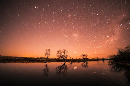 خرید تخته شاسی منظره رد ستارگان در جنگل شب