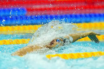 چاپ پوستر بک گراند کرال پشت با کیفیت HD