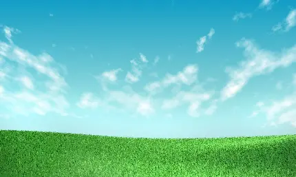 چاپ پوستر بک گراند دسکتاپ چمن و آسمان با کیفیت اچ دی و رزولوشن ویژه