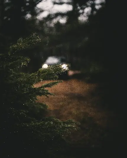 خرید تابلو ماجراجویی و سفر با نقشه و قطب نما